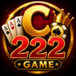 C222 Game